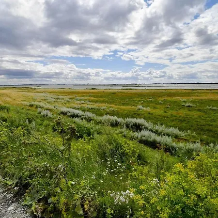 8 Person In Otterup-by Traum Semesterbostad *