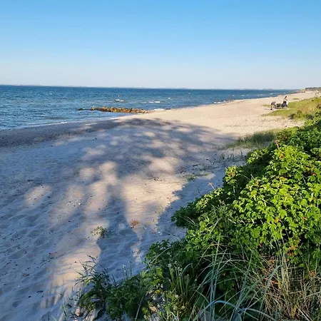 8 Person In Otterup-by Traum Semesterbostad