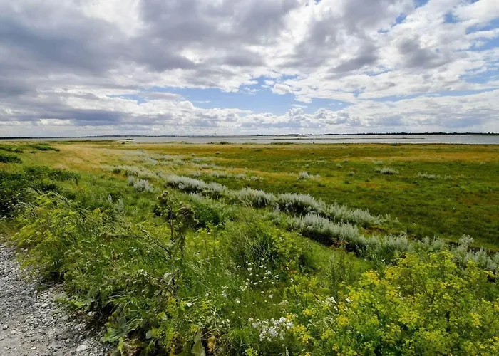 8 Person In Otterup-by Traum Semesterbostad *